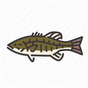 Meet your Posher, Tommy